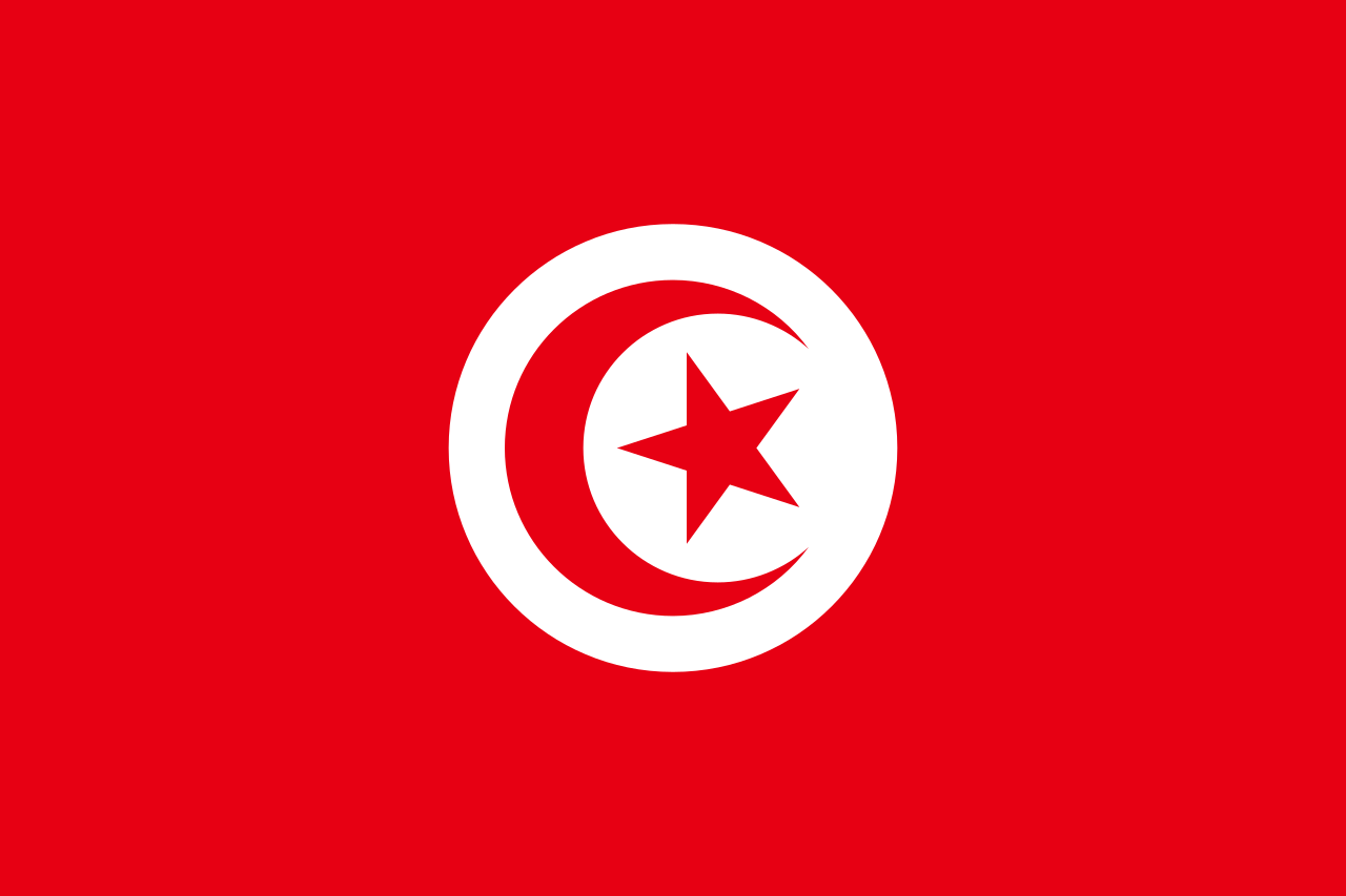 突尼斯法语翻译